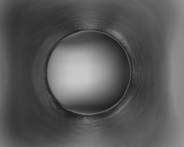 X0000089850481200706281254