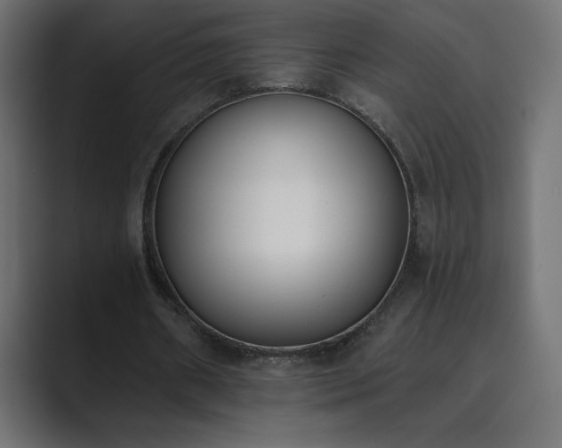 X0000089850482200706281254