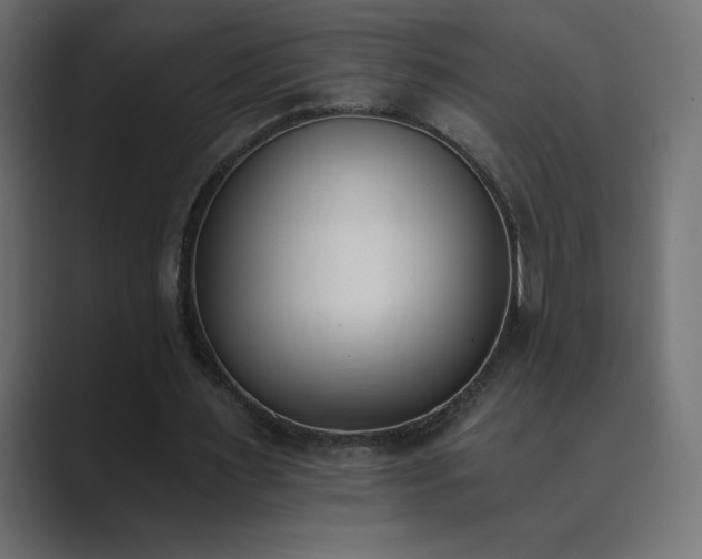 X0000089850483200706281254