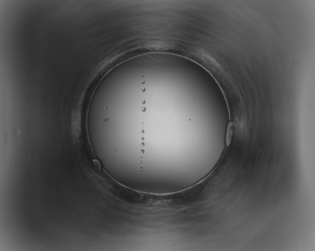 X0000089850484200706281254