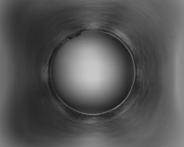 X0000089850485200706281254