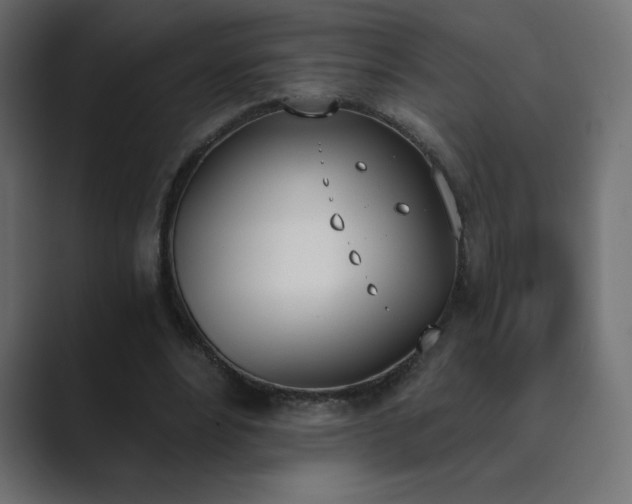 X0000089850488200706281254