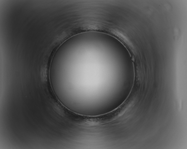 X0000089850489200706281254