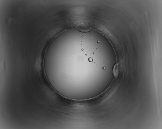 X0000089850490200706281254