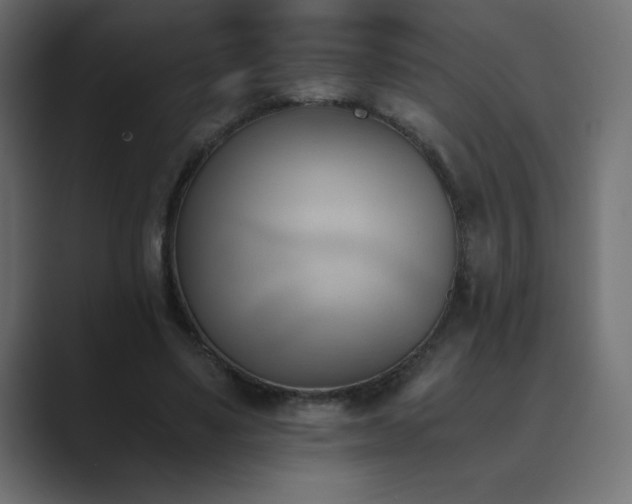 X0000089850491200706281254