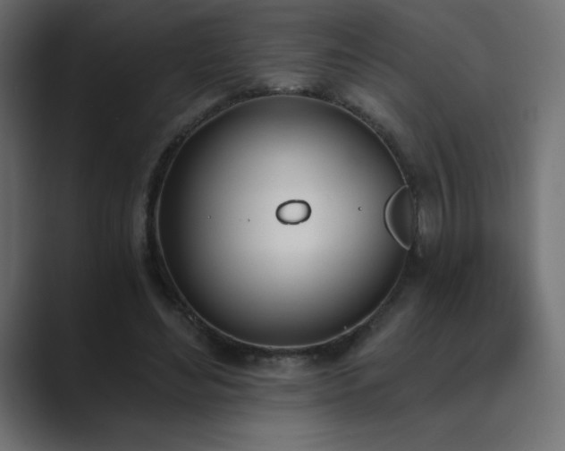 X0000089850492200706281254