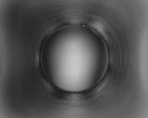 X0000089850493200706281254