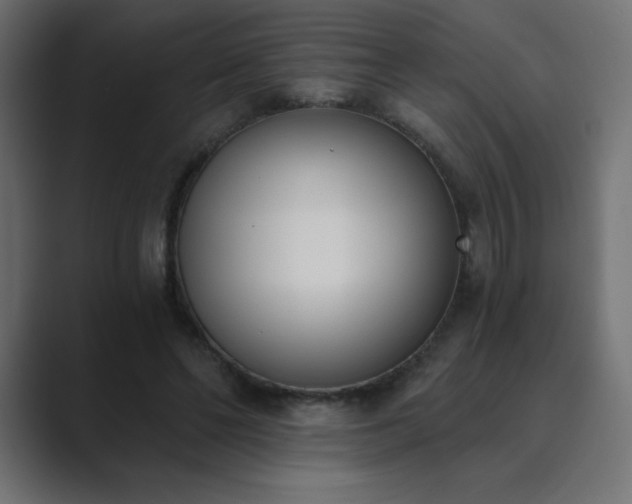 X0000089850494200706281254