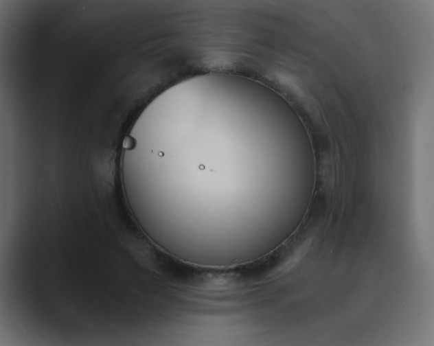 X0000089850495200706281254