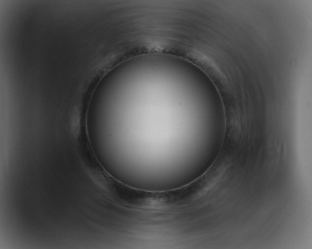 X0000089850496200706281254