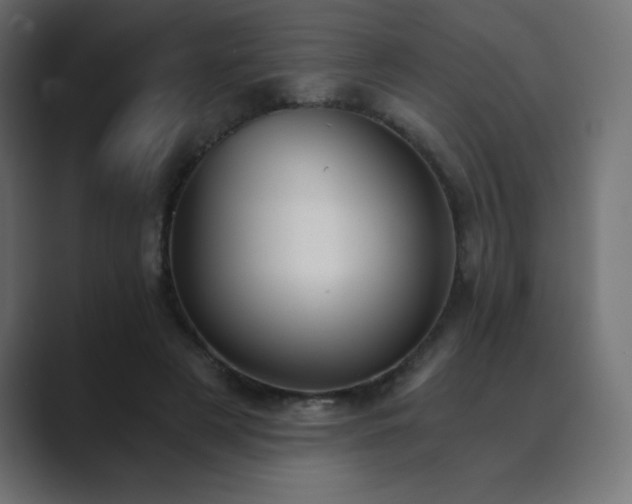 X0000089850497200706281254