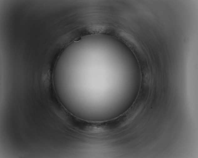 X0000089850498200706281254