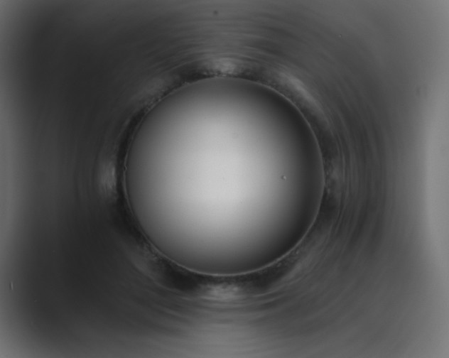 X0000089850500200706281254