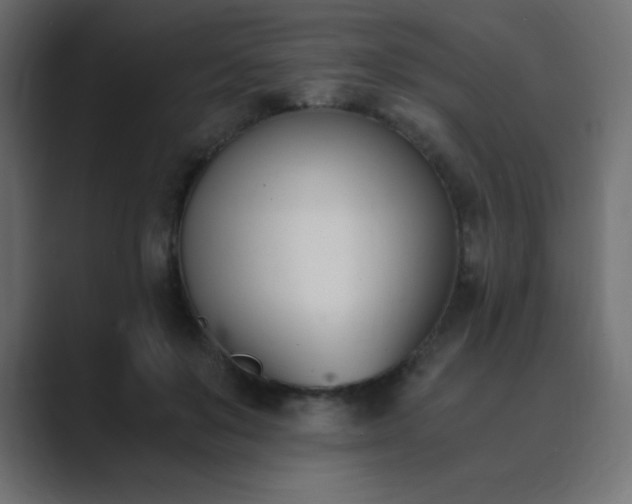 X0000089850503200706281254