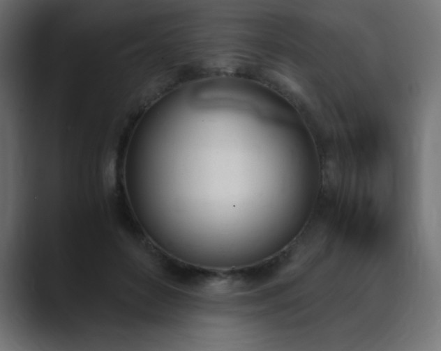 X0000089850504200706281254