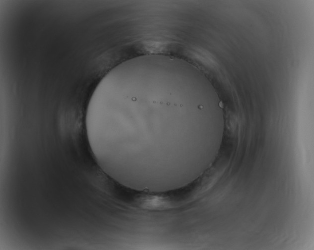 X0000089850507200706281254