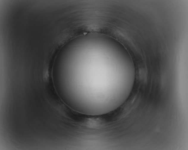 X0000089850508200706281254