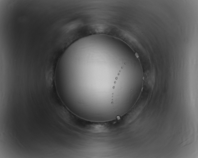 X0000089850509200706281254