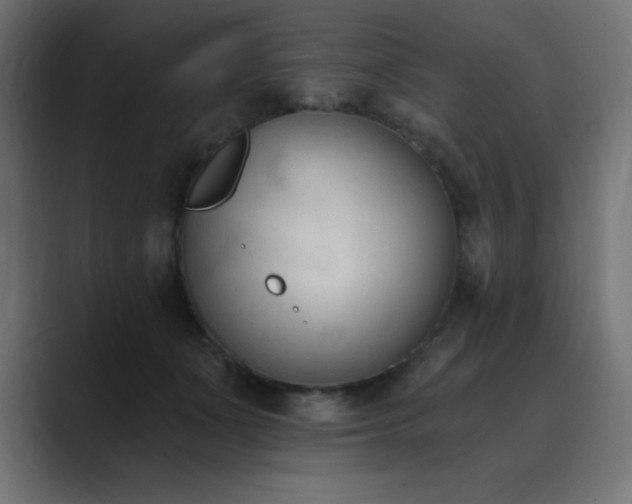 X0000089850511200706281254