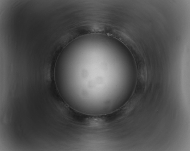 X0000089850512200706281254