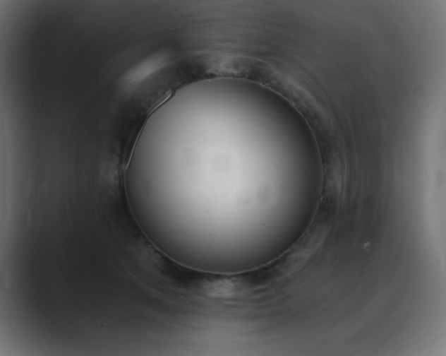 X0000089850513200706281254