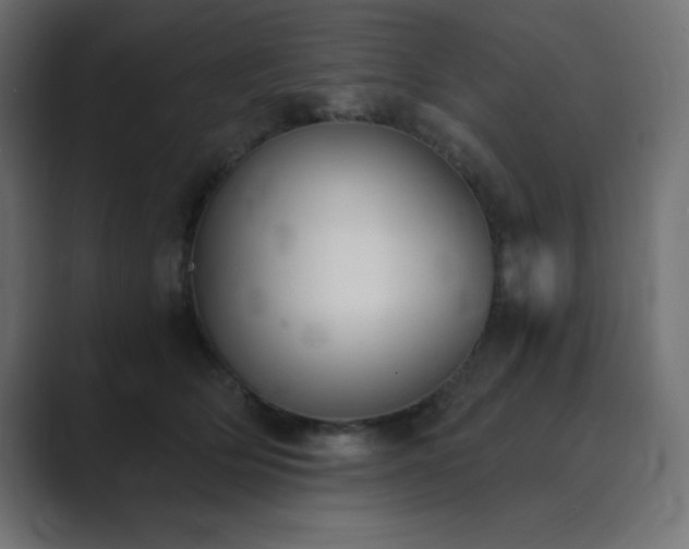 X0000089850514200706281254