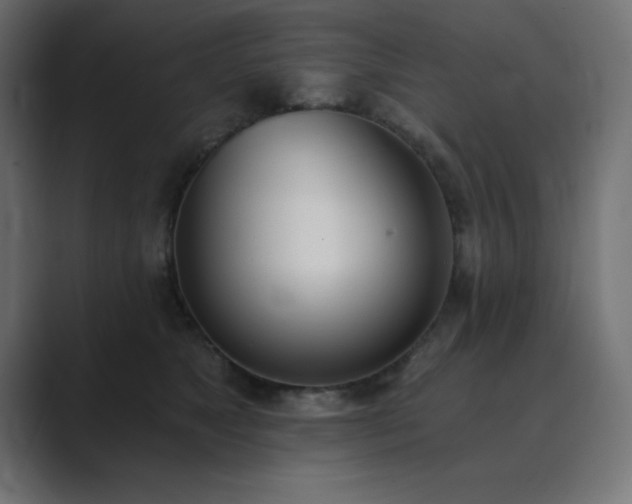 X0000089850517200706281253