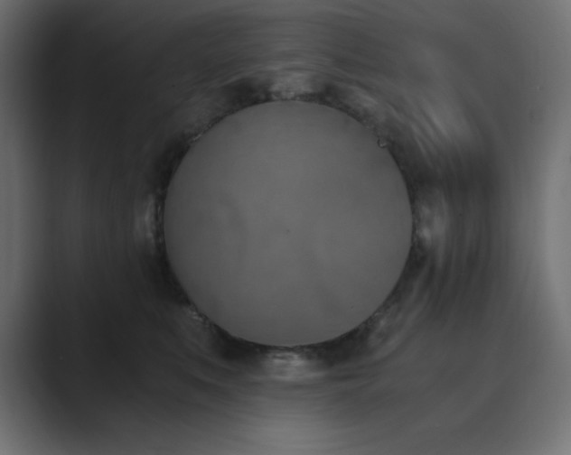 X0000089850519200706281253