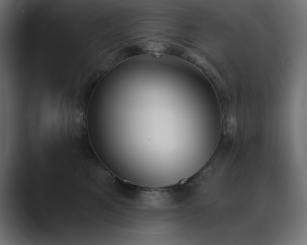 X0000089850521200706281253