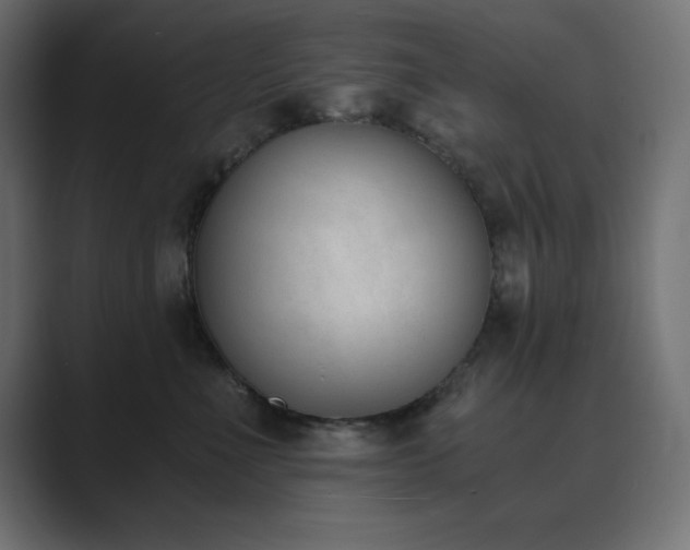 X0000089850523200706281253