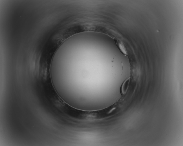 X0000089850525200706281253