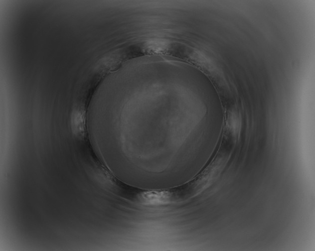 X0000089850526200706281253