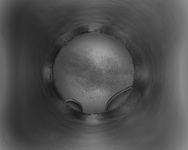 X0000089850527200706281253