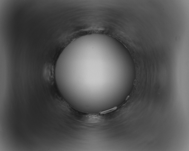 X0000089850528200706281253