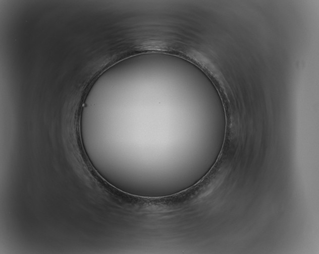 X0000089850529200706281253