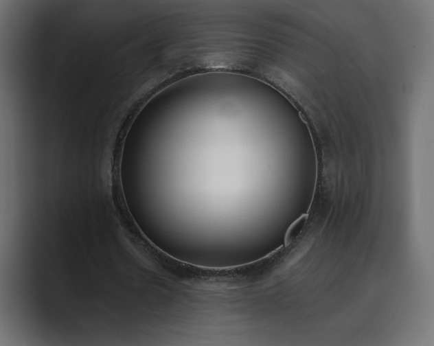 X0000089850530200706281253