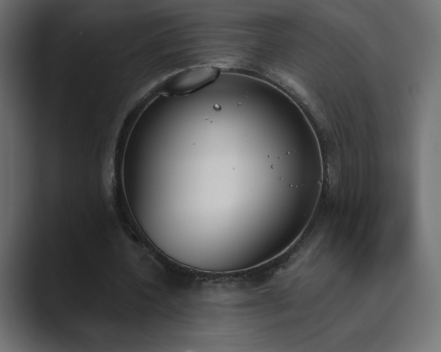 X0000089850532200706281253