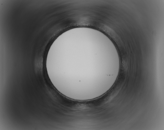 X0000089850534200706281253