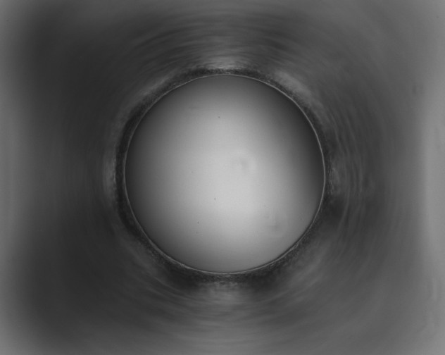 X0000089850535200706281253