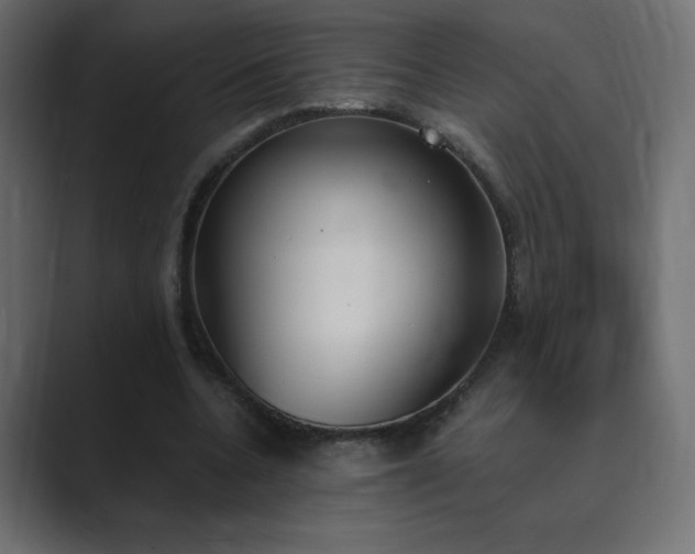 X0000089850536200706281253
