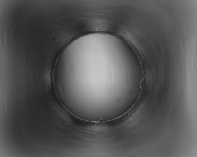 X0000089850537200706281253