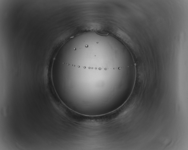 X0000089850538200706281253