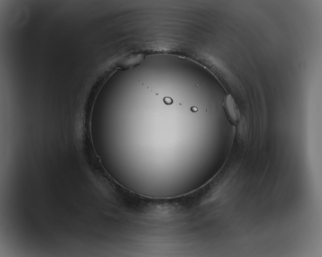 X0000089850540200706281253