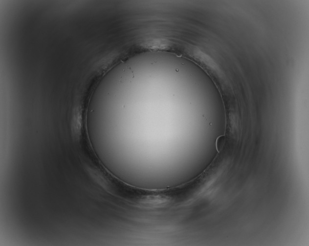 X0000089850541200706281253