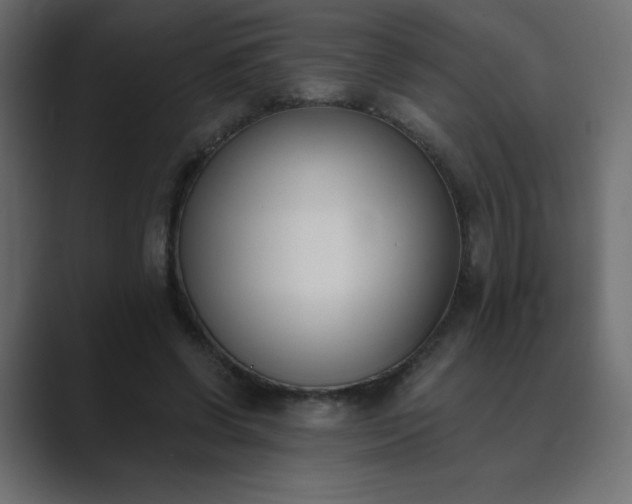 X0000089850542200706281253