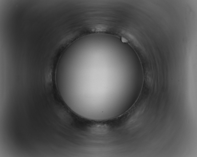X0000089850543200706281253