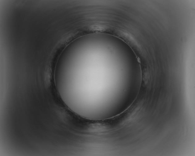 X0000089850544200706281253