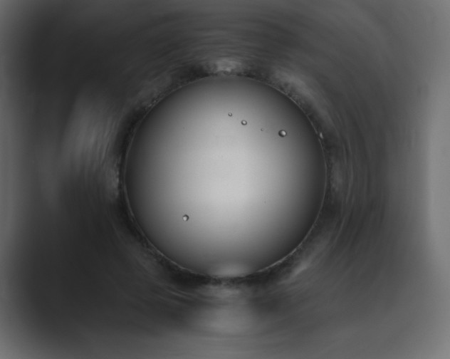 X0000089850545200706281253