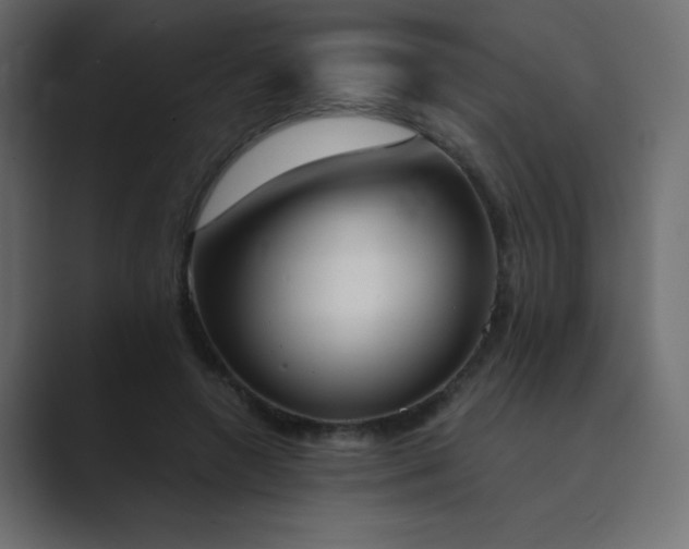 X0000089850546200706281253