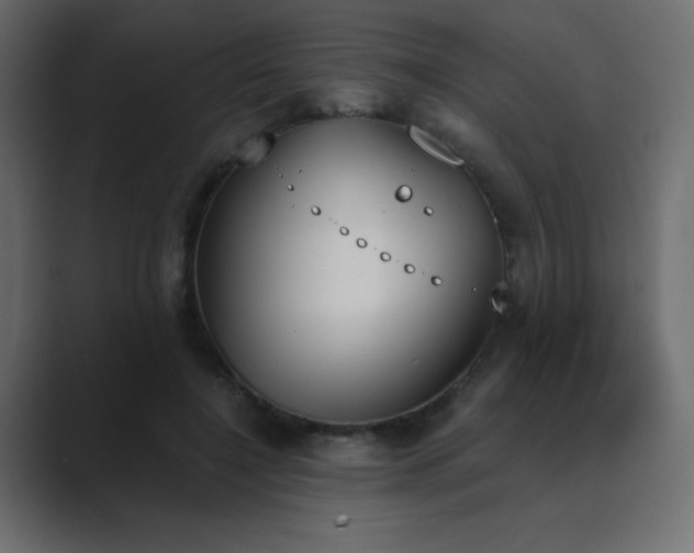 X0000089850548200706281253